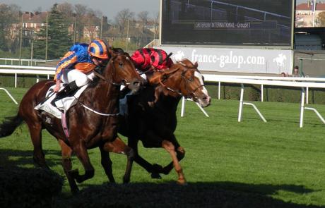 Saint-Cloud 01.11.2015