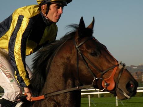 Saint-Cloud 01.11.2015