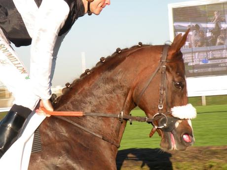 Saint-Cloud 01.11.2015