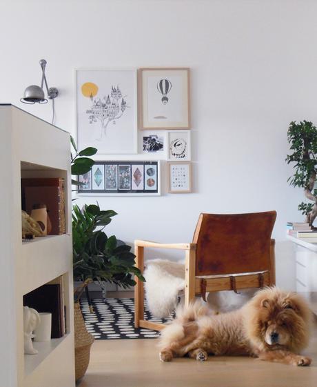 Le voyage dans la déco |elephant in the room