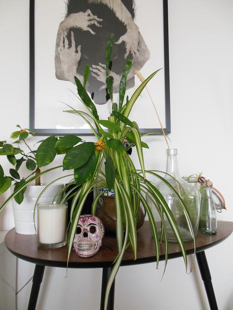 Le voyage dans la déco |elephant in the room