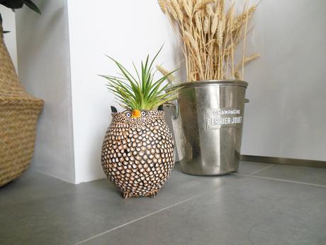 Le voyage dans la déco |elephant in the room