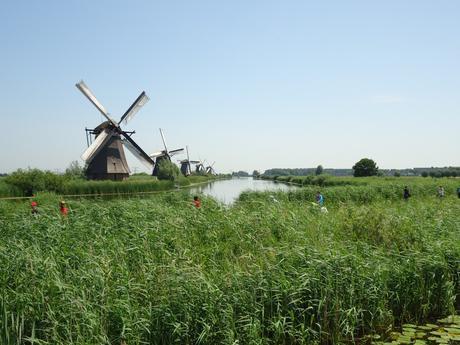 Kinderdijk