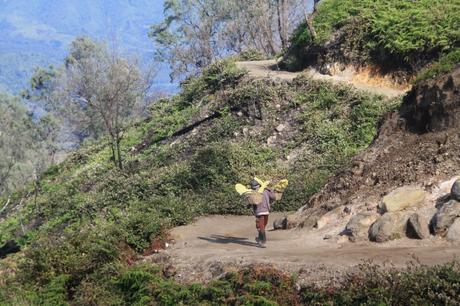 bromo et ijen