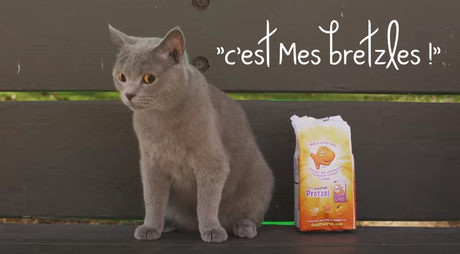 Fallait pas voler ses croquettes ;) Fallait pas voler ses croquettes ;)