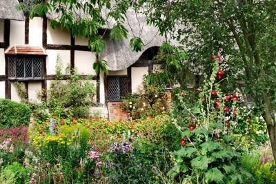 Un brin de verdure et Jane et Prudence - Barbara Pym Un brin de verdure et Jane et Prudence - Barbara Pym