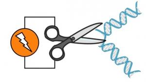 LEUCÉMIE: Premier succès de traitement par édition du génome – NHS