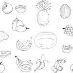 dessin de fruits