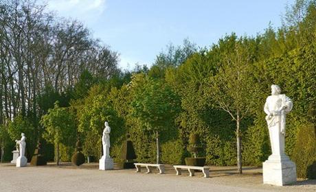 Versailles en automne