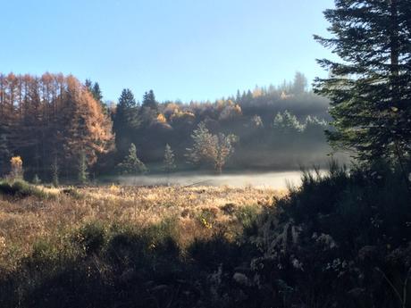La nature se réveille dans le Forez