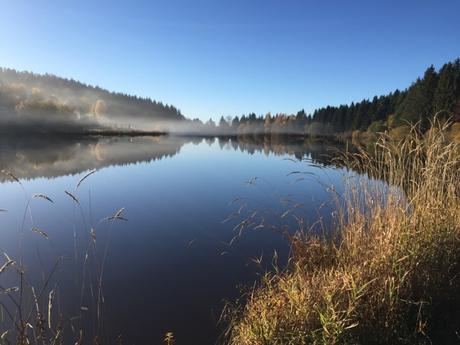 La nature se réveille dans le Forez
