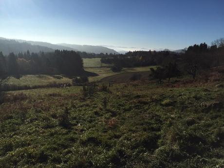 La nature se réveille dans le Forez