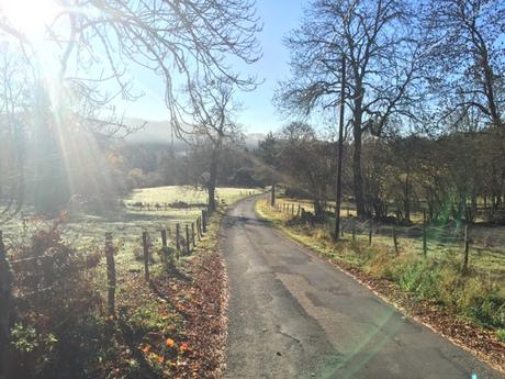 La nature se réveille dans le Forez