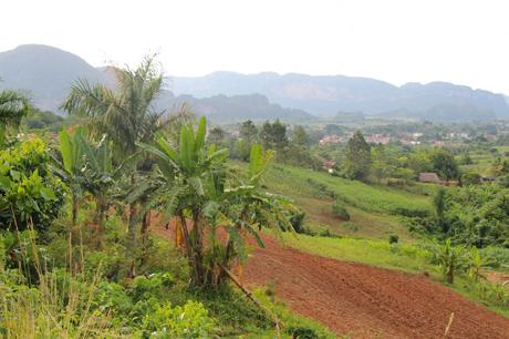 Cuba20_Vinales