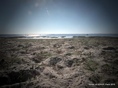 Lanton: Le Tamaris en bord de plage: sépia et couleurs: le soleil en face : les jumeaux