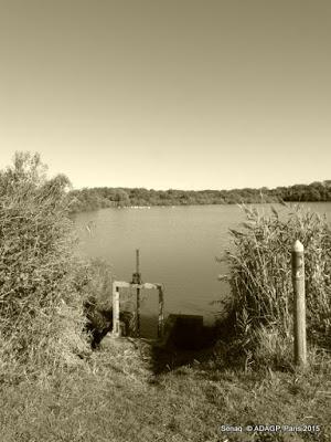 Domaine de Certes-Bassin d'Arcachon-Sépias/photos: le soleil en face et la marée basse: 2 ième envoi