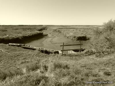 Domaine de Certes-Bassin d'Arcachon-Sépias/photos: le soleil en face et la marée basse: 2 ième envoi