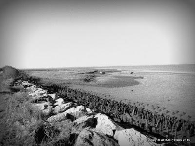 Domaine de Certes Bassin d'Arcachon Promenade-photos noir et blanc: ou le soleil en face et la marée basse!