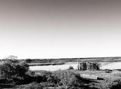 Domaine Certes Bassin d'Arcachon Promenade-photos noir blanc: soleil face marée basse!