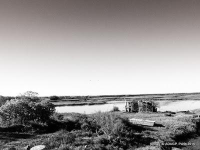 Domaine de Certes Bassin d'Arcachon Promenade-photos noir et blanc: ou le soleil en face et la marée basse!