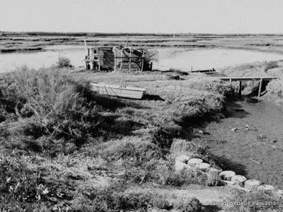 Domaine de Certes Bassin d'Arcachon Promenade-photos noir et blanc: ou le soleil en face et la marée basse!