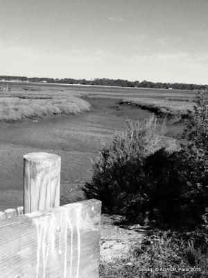 Domaine de Certes Bassin d'Arcachon Promenade-photos noir et blanc: ou le soleil en face et la marée basse!