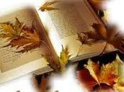 Check-up Lundi 09.11.15