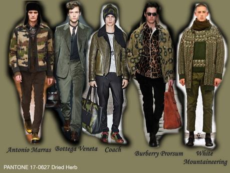 Dried Herb - Men`s Fashion Colors Fall 2015