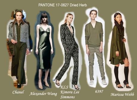 Dried Herb - Women`s Fall colors 2015