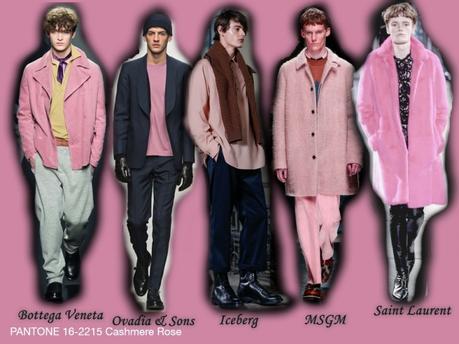 Cashmere Rose - Men`s Fashion Colors Fall 2015