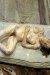 2001, Lucian Freud : Naked Portrait