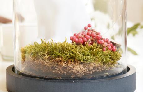 DIY : Un brin de forêt dans son salon