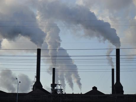 SCIENCES & NATURE alt=