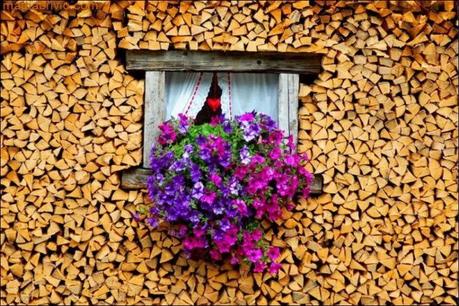 Divers - une façon de ranger son bois