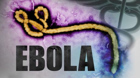 AFRIQUE – SANTE. Sierra Leone : la fin du virus de Marburg (Ebola) ?