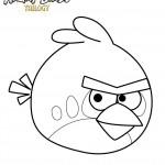 dessin de angry birds