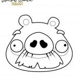 dessin de angry birds