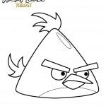 dessin de angry birds