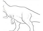 dessin t-rex