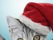 Faut-il jeûner avant fêtes