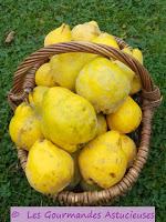 Coings aux fruits secs et au miel (Végétarien)