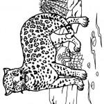 dessin de jaguar