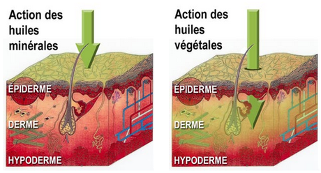 Sur la sing : les huiles minérales VS les huiles végétales.