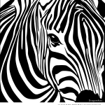 dessin de zebre