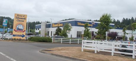 Tillamook Cheese ou comment marche le business aux USA