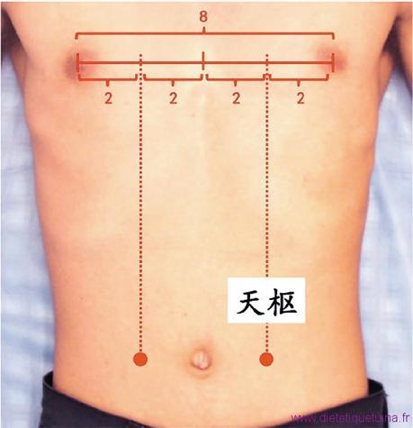 Le point Tian Shu du méridien de l’estomac (25E)