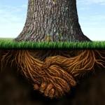 Des contrats en veux-tu en voilà !