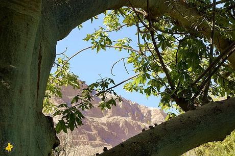 Sud d’Israel en 1 semaine: Jérusalem et la Mer Morte 1/2