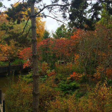 Mes petits plaisirs d’automne