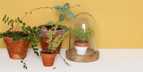 Décoration : sélection à moins de 20 euros ! Décoration : sélection à moins de 20 euros !